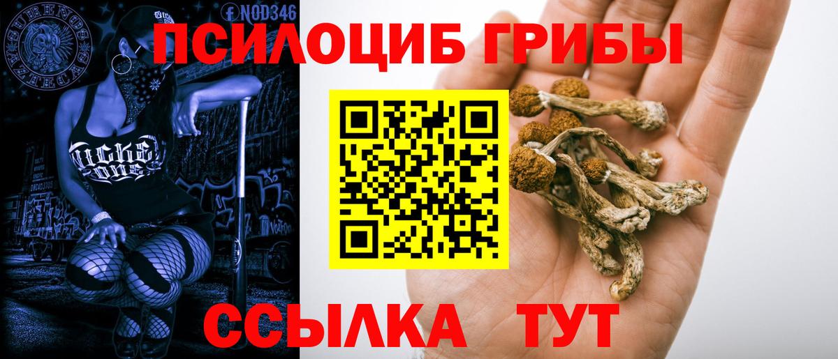 Сыктывкар  Псилоцибиновые грибы Cubensis  Вход с VPN 